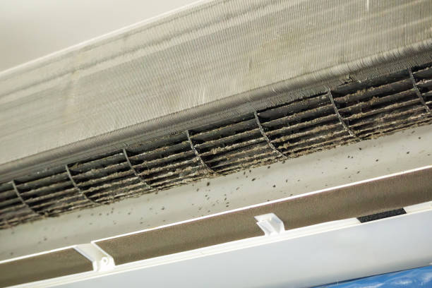 Best Air Duct Cleaning Near Me  in Princeton Meadows, NJ